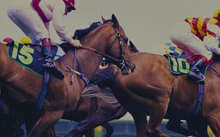 'Cheltenham Races - Accommodation only 45 minutes from the Racecourse' - Holiday Ideas