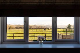 The Piggery - View from Dining / Living room