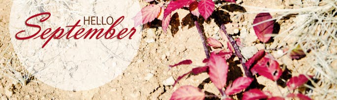 Special September Breaks