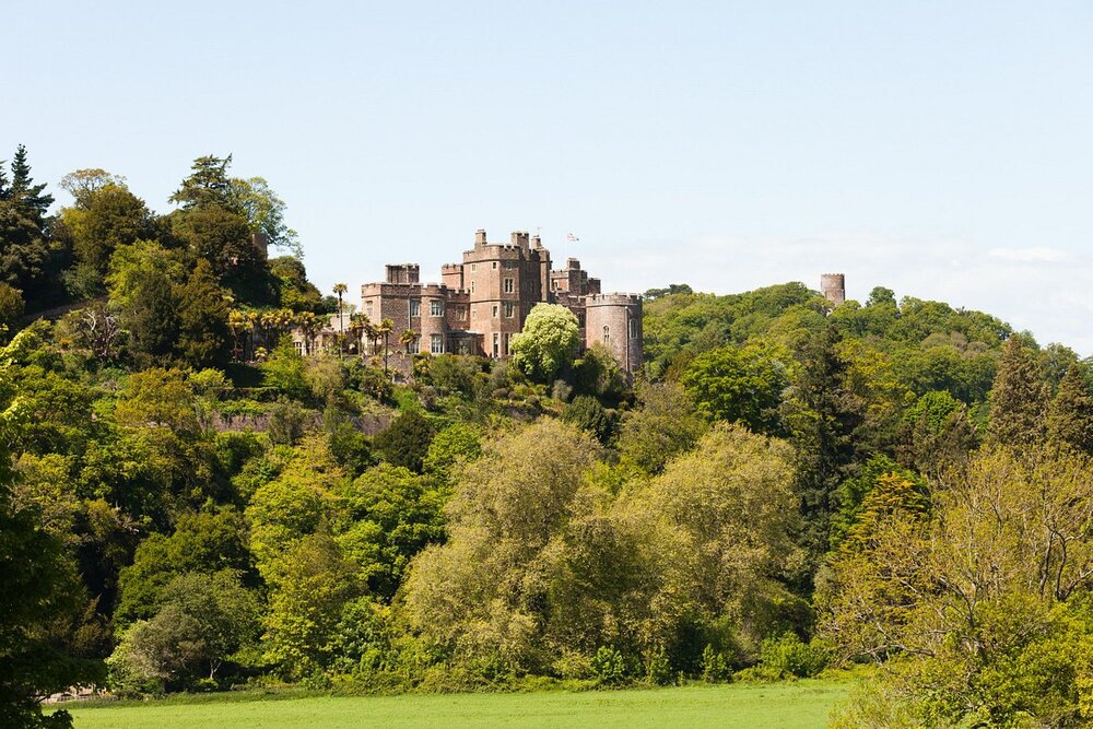 View of large castle nestled in woodland