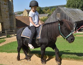 Abbotsbury Children's Farm