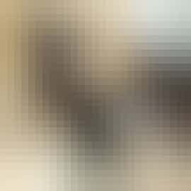 well behaved dogs welcome at small  extra charge well behaved dogs welcome at small  extra charge