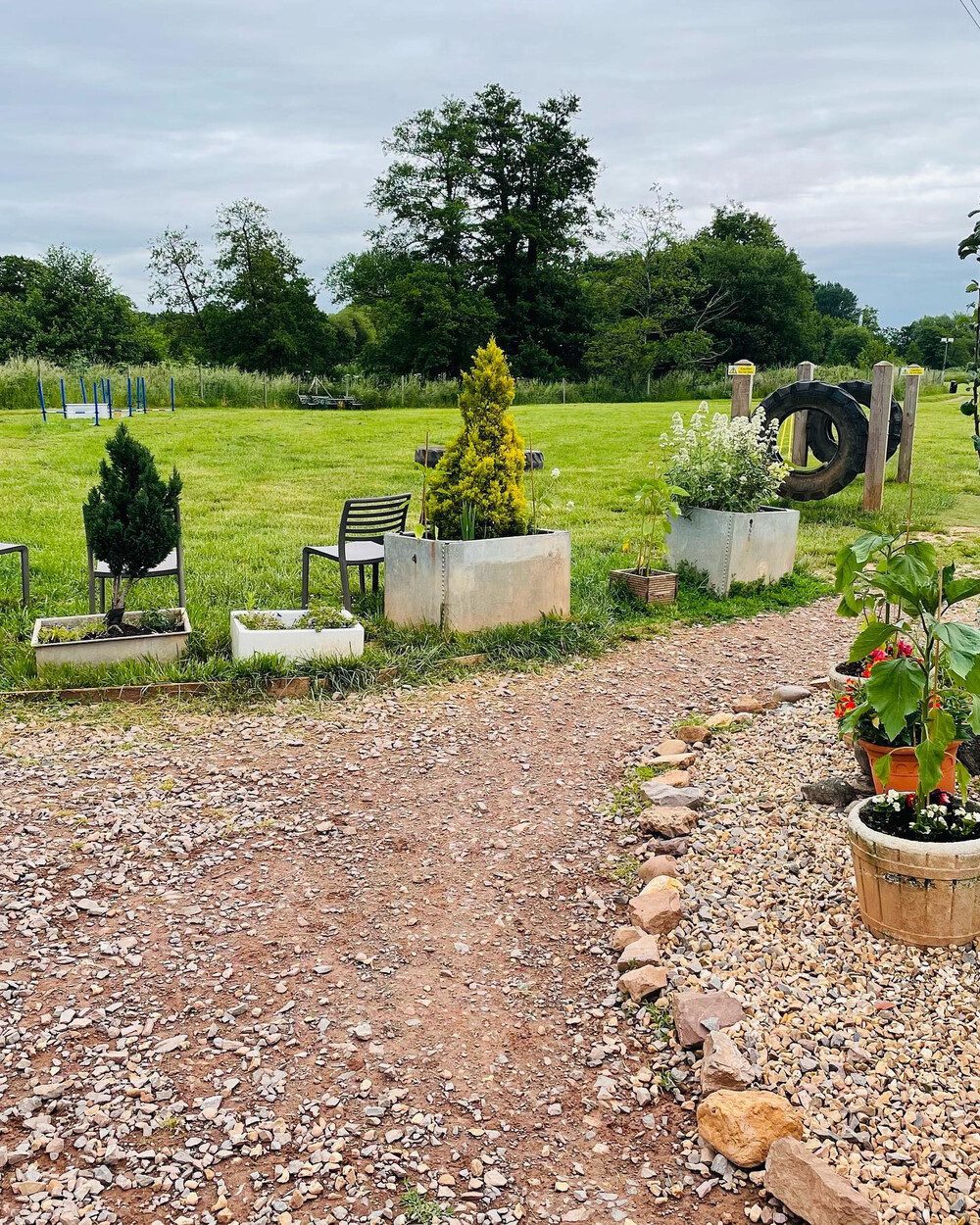 Dog walking meadow with tyres and grass