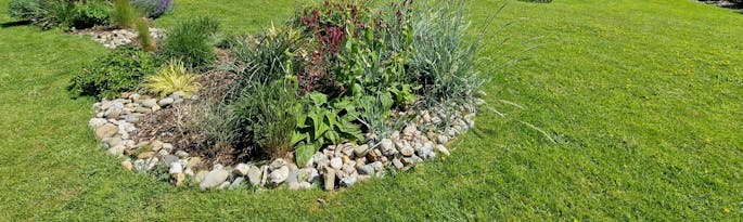 Triumph and Trials with Ornamental Grasses