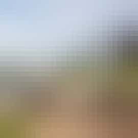 Lazy swimming pool days High Cloud Farm and Barn 10 Bedroom holiday accommodation Monmouthshire www.bhhl.co.uk  Lazy swimming pool days High Cloud Farm and Barn 10 Bedroom holiday accommodation Monmouthshire www.bhhl.co.uk