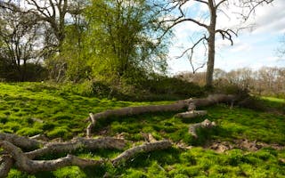 'Dog Friendly accommodation in the Blackdown Hills' - Holiday Ideas