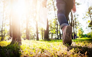 'Walking Breaks In Somerset For Large Groups' - Holiday Ideas