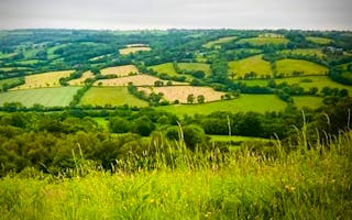 'Short Breaks In Devon' - Holiday Ideas