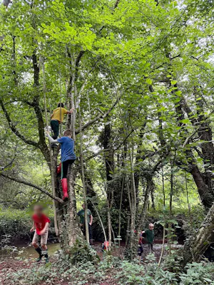 Tree climbing youngsters