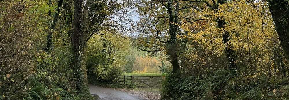 Hurstone lane with autumnal colours in the hedgerows, trees and view of fields beyond