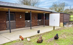 Stables /our hens