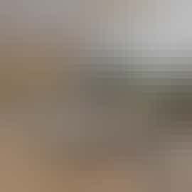 Herons Bank - Lounge by the pool Herons Bank - Lounge by the pool