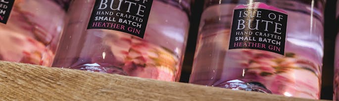 Isle of Bute Gin