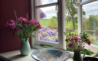 'Large House For 70th Birthday Celebrations' - Holiday Ideas