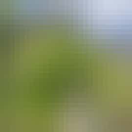 Outside Hectors Loft Outside Hectors Loft