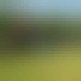 Herons Bank - Children will have heaps of fun in the play area Herons Bank - Children will have heaps of fun in the play area