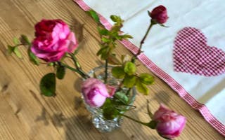 'Cottage for a Romantic Break in North Devon' - Holiday Ideas