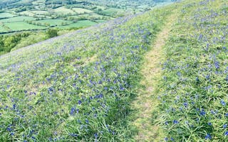 'Holiday Cottages For Spring Breaks in Devon' - Holiday Ideas