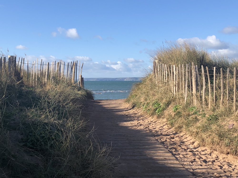 A pathway that leads to an outstanding view of a beach in Salcombe