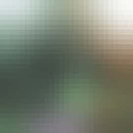 Garden / View Garden / View