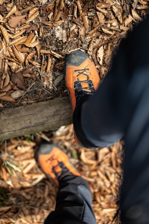 Walking through Autumn leaves