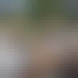 Swallows Meadow: Lazy days in the sunshine Swallows Meadow: Lazy days in the sunshine