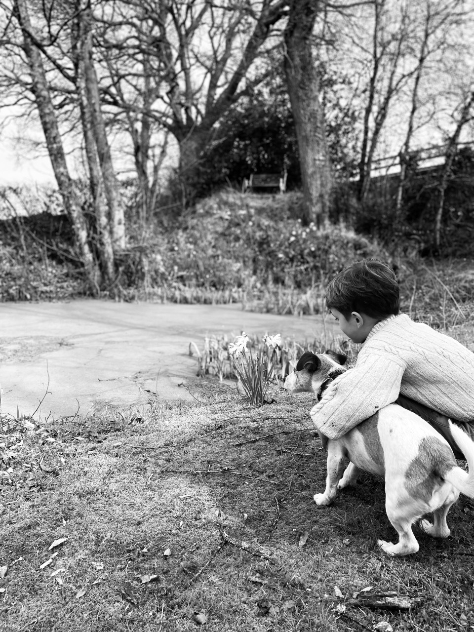 Dogs welcome at Stonehayes