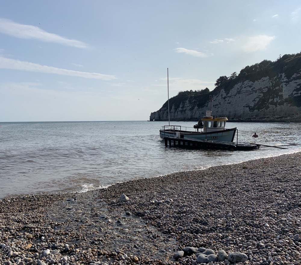 The beach at Beer, Devon