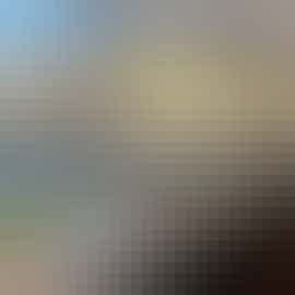 Hunky-Dory - The glass walled dining room overlooks the garden Hunky-Dory - The glass walled dining room overlooks the garden