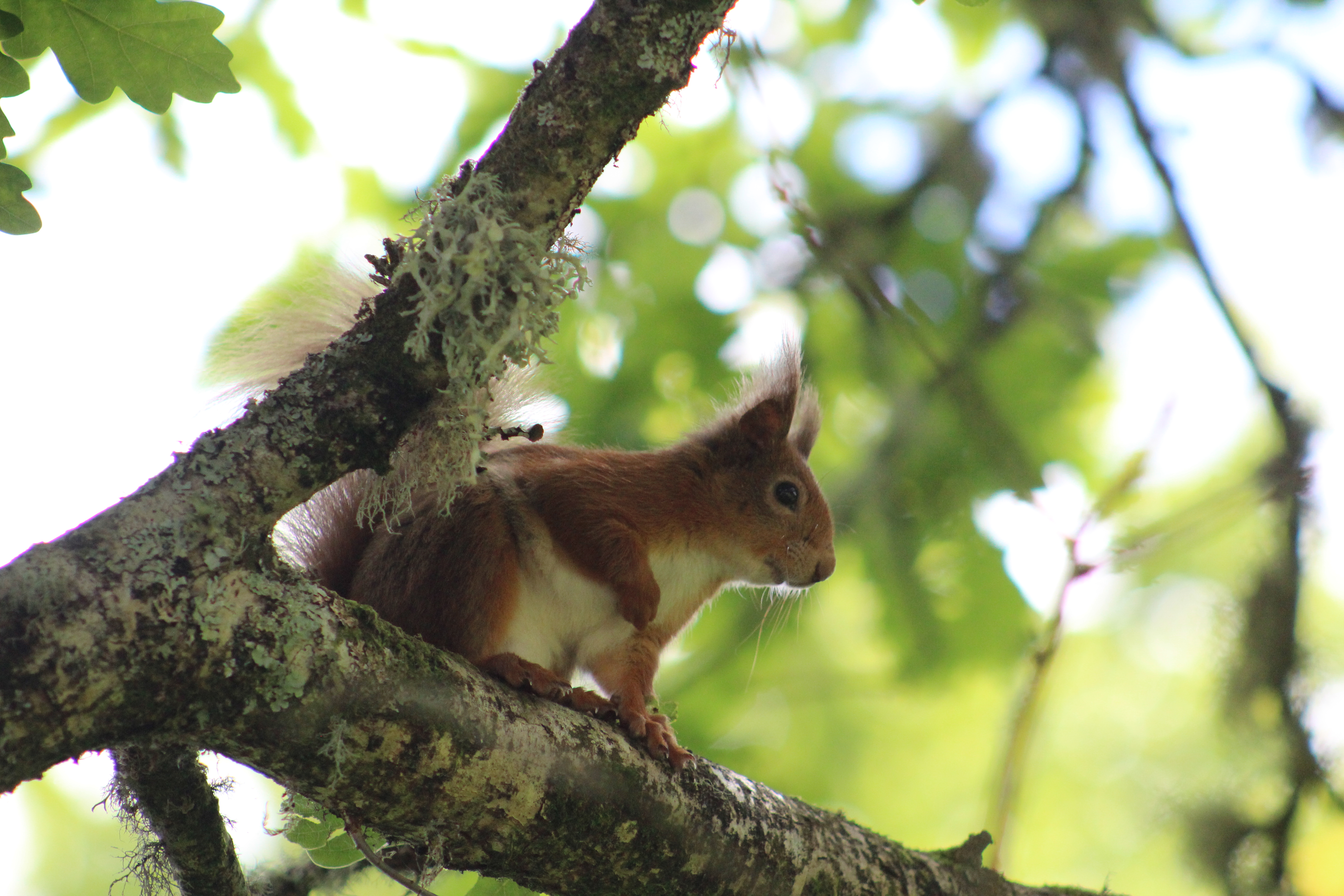 'Wildlife and Nature' - Holiday Ideas