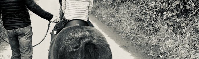 Walking Breaks In Devon