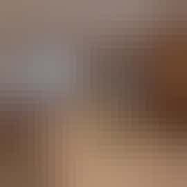 Herons Bank - Dine in the kitchen or in the orangery Herons Bank - Dine in the kitchen or in the orangery