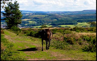 'Property in Batherm Valley on the edge of Exmoor' - Holiday Ideas