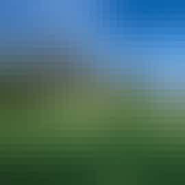 The Grace House: Plenty of room to run and play in the gardens at the back of the house The Grace House: Plenty of room to run and play in the gardens at the back of the house