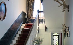 Elegant Sweeping Staircase