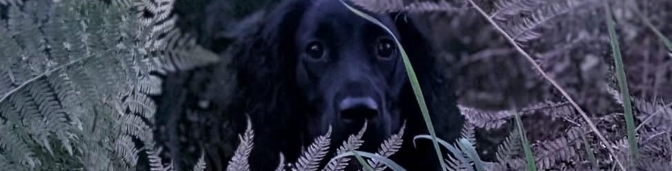 Good Reasons for Autumn Breaks in East Devon