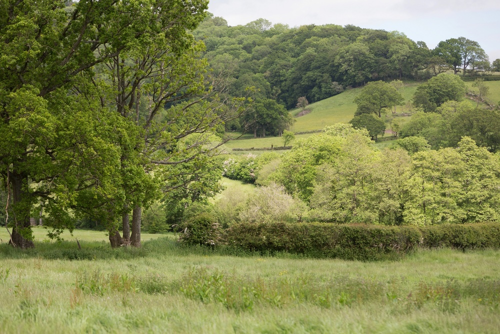 The beautiful countryside at the Blackdown Hills