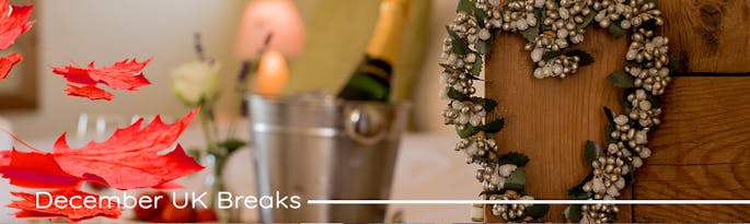 Short Breaks in our Large Holiday Homes in the UK - December Availability!