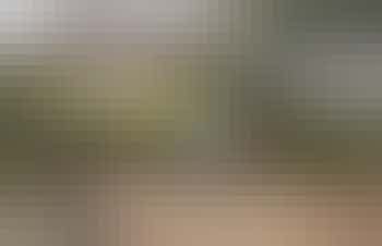 An image of 'Shillings Cottage', Devon