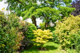 Beautiful green trees and shrubs in eh garden at Forest House, a holiday let for large families at Coleford  - www.bhhl.co.uk