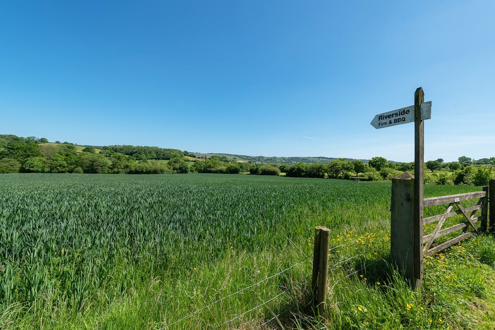 Walk across the field to the river