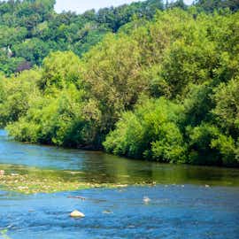 Claming river scenes on the door step of  River Wye Lodge Large self catering sleeping 26 people Nr. Forest of Dean www.bhhl.co.uk Claming river scenes on the door step of  River Wye Lodge Large self catering sleeping 26 people Nr. Forest of Dean www.bhhl.co.uk