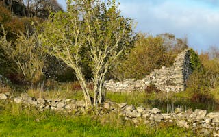 'Ancient History and Archaeology, explore ancient monuments, castles and hill forts.' - Holiday Ideas