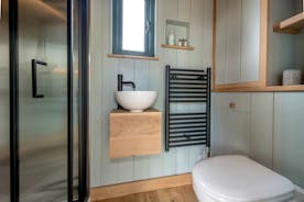Silver Birch - A contemporary bathroom to one end 