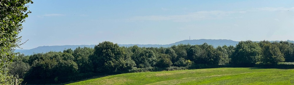 Wellington Monument standing tall and visible for miles