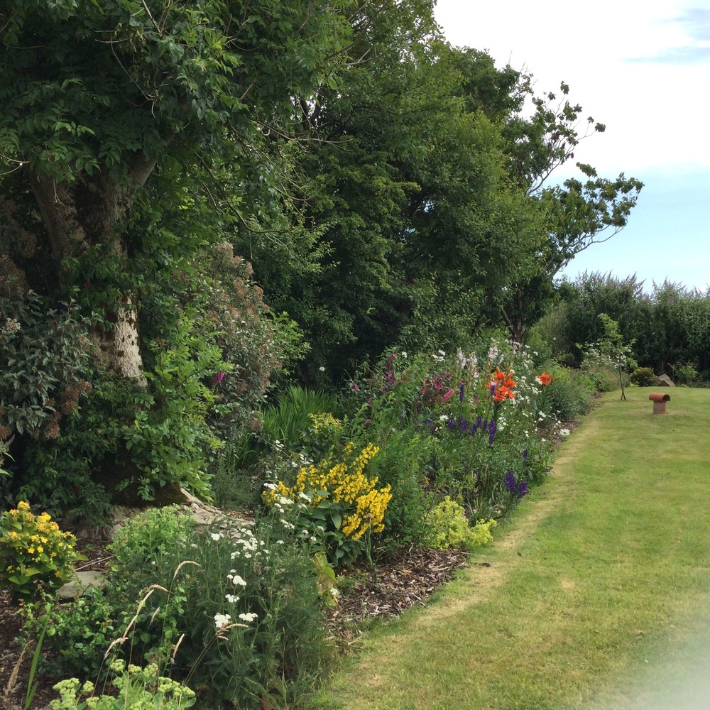 Our hard work has paid off - Summer 2021