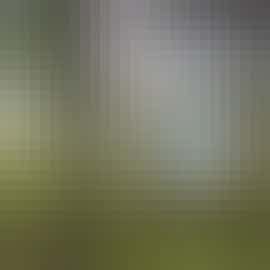 Towards the river through the woodland Towards the river through the woodland