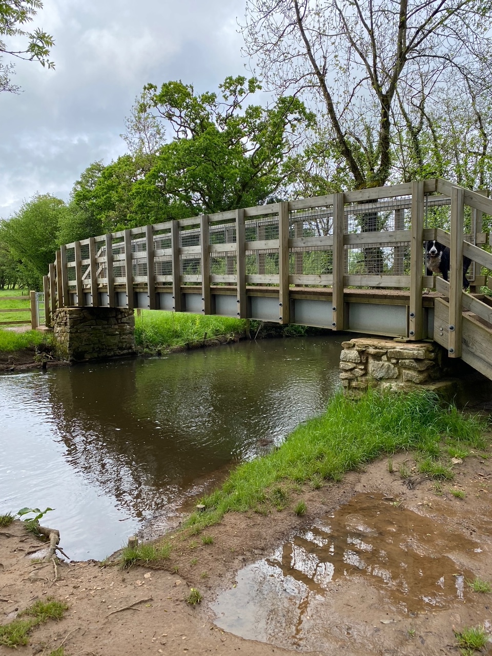 Bridge over River Culm