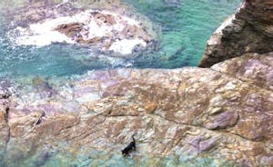 New Polzeath Rocks at High Tide