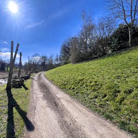 Stunning spring sunshine, recent tree surgery to allow our lime trees to thrive Stunning spring sunshine, recent tree surgery to allow our lime trees to thrive